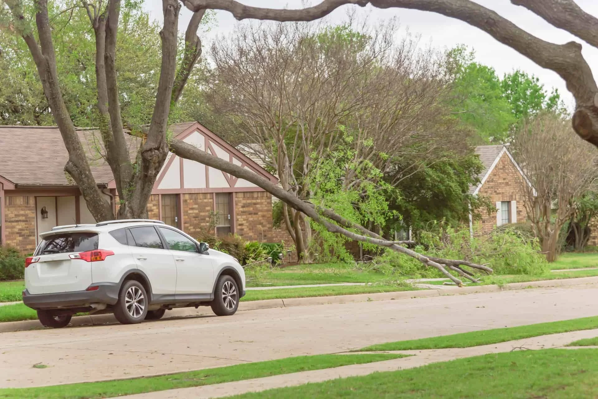 Wind Speeds Affect The Risk Of Home Damage